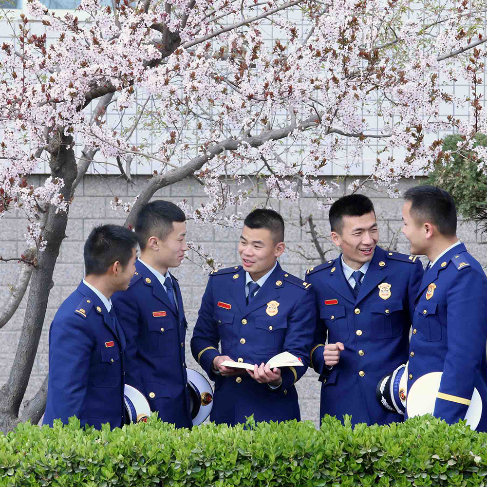 别样青春